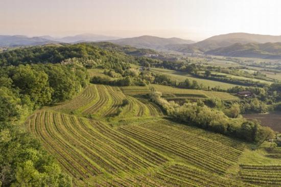 Agriturismo Spolert Winery Prepotto  المظهر الخارجي الصورة