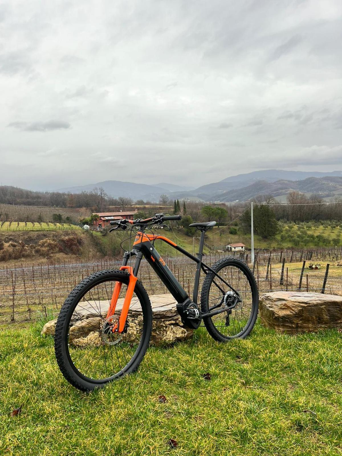 Agriturismo Spolert Winery Prepotto  المظهر الخارجي الصورة
